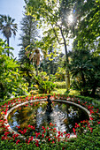 Botanischer Garten von Malaga, Jardín Botánico-Histórico La Concepción, Costa del Sol, Provinz Malaga, Andalusien, Spanien, Europa