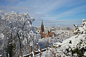 View from the Schlossberg to the cathedral<Unserer lieben Frau> in snow, Freiburg, Breisgau, Southern Black Forest, Black Forest, Baden-Wuerttemberg, Germany, Europe