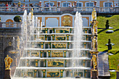 Blick zur Großen Kaskade im Peterhof, Petergóf bei St. Petersburg, Finnischer Meerbusen, Russland, Europa