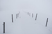 Weg im Schnee, Chiemgauer Alpen, Siegsdorf, Bayern, Deutschland