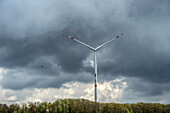 A bird of prey next to a wind turbine, Blaufeldenl, Baden-Württemberg, Germany