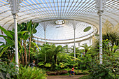 Interior shot of Kibble Palace, Glasgow Botanic Gardens, Glasgow, Scotland UK