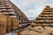 Fassberge, Pyramiden von gebrauchten Whiskyfässern vor Aufbereitung, Speyside Cooperage, Craigellachie, Schottland UK