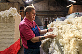 Unbehandelte Wolle, Harris Tweed-Produktion in Shawbost Mill, Insel Lewis, Äußere Hebriden, Schottland UK