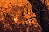 Mit etwas Phantasie sieht man in fast jedem Felsen des Valley of Fire eine Gestalt, Nevada, USA