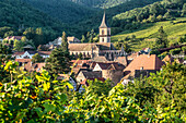 Blick auf Weinberge und die Kirche Saint Grégoire in Ribeauvillé, Elsass, Frankreich, Europa Ribeauvillé, Département Haut-Rhin , Region Grand Est, Elsaessische Weinstrasse, Elsass, Frankreich