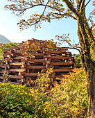 Woods of Net Skulptur von Toshiko Horiuchi Macadam im Hakone Open Air Museum, Japan