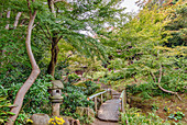 Gartenweg im Sankeien Garden, Yokohama, Kanagawa, Japan