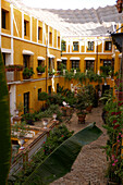 Typical courtyard with shading, Seville, Andalusia, Spain
