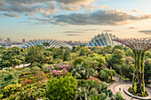 Aussicht von den Supertrees über die Gardens by the Bay with the Cloud Forest und Flower Dome Gebäude im Hintergrund, Singapur