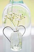 Weiße Blüten in einer Glasflasche mit Herz im Hintergrund