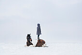 Mädchen, das auf einem Pferd steht, das auf einem schneebedeckten Gebiet liegt