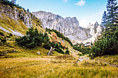 Die Ammergauer Alpen, Ammergauer Gipfel Krähe von der Nordseite mit herbstlicher Laubfärbung, Bayern, Deutschland