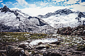 Trailrunner vor der Zillertaler Gebirgskette, Berliner Höhenweg im Trailrunning Stil, Mehrtagestour in den Zillertaler Alpen, Tirol, Österreich