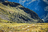 Läuferin in weiter Gebirgslandschaft, Trailrunnerin auf dem Berliner Höhenweg, Mehrtagestour in den Zillertaler Alpen, Tirol, Österreich