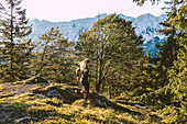 Trail runner in the morning sun on the Gamskogel in the Wilder Kaiser