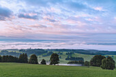 Blick vom Auerberg nach Süden an einem nebligen Frühherbstmorgen, Bayern, Deutschland, Europa