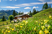 Alpine building with flower meadow, Geigelstein group in the background, Oberauerbrunstalm, Chiemgau Alps, Upper Bavaria, Bavaria, Germany