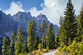Below the Geisler Group, Puez-Geisler Nature Park, Lungiarü, Dolomites, Italy, Europe