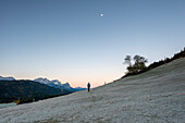 Morgenstimmung am Geroldsee, Wiese mit Raureif, Blick auf die Zugspitze, Werdenfelser Land, Bayern, Deutschland