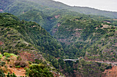 Lonely car bridge in the forest gorges of La Palma, Canary Islands, Europe