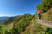 Man and woman hike on a narrow path to Hochfelln, Hochfelln, Chiemgau Alps, Salzalpensteig, Upper Bavaria, Bavaria, Germany