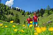 Mann und Frau wandern auf Salzalpensteig durch Blumenwiese, Hochgern, Chiemgauer Alpen, Salzalpensteig, Oberbayern, Bayern, Deutschland