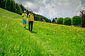 Mann und Frau wandern auf Wiesenweg, Berchtesgadener Alpen, Salzalpensteig, Oberbayern, Bayern, Deutschland