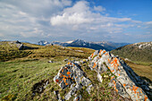 Lichen-covered rocks with Nockberge in the background, Königstuhl, Nockberge, Nockberge-Trail, UNESCO Biosphere Park Nockberge, Gurktal Alps, Carinthia, Austria