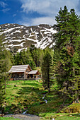 Alpine pastures in the stone pine forest, Wolitzenalm, Nockberge, Nockberge-Trail, UNESCO Biosphere Park Nockberge, Gurktal Alps, Carinthia, Austria