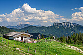 Alm mit Chiemgauer Alpen mit Hörndlwand im Hintergrund, Bischofsfellnalm, Hochgern, Chiemgauer Alpen, Oberbayern, Bayern, Deutschland