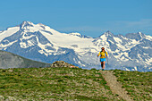 Woman hiking with Hochalmspitze in the background, Rödresnock, Nockberge, Nockberge-Trail, UNESCO Biosphere Park Nockberge, Gurktal Alps, Carinthia, Austria