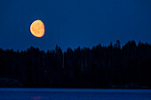 Mond in der Nacht am Pielinen-See, Finnland