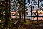 Lichtstimmung nach Gewitter im Patvinsuo-Nationalpark, Finnland