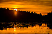 Sunset, between Juva and Sulkava leads the famous canoe tour Squirrel Tour (Oravareitti), Finnish Lake District, Finland