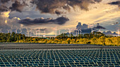 Solar field and wind turbines in the Solar Valley near Bitterfeld-Wolfen in Saxony-Anhalt, Germany