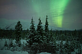 Polarlichter, Nordlichter, Pallastunturi, Muonio, Lappland, Finnland