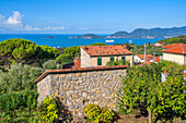 Blick von Montemarcello auf den Golf von La Spezia,  Provinz La Spezia, Ligurien, Italien