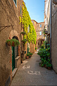 Alley in Capalbio, Maremma, Province of Grosseto, Toscana, Italy