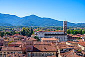 View from Torre Guinigi over Lucca, Province of Lucca, Toscana, Italy