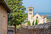 Basilica di San Francesco in Assisi, Provinz Perugia, Umbrien, Italien