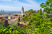 View to the Basilica di San Chiara in Assisi, Perugia Province, Umbria, Italy