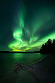 Northern lights in the night sky on the lakeshore in Lapland, Sweden