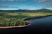Wald und Seeufer am Siljansee von oben mit blauem Himmel in Dalarna, Schweden\n