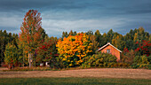 Schwedisches Haus mit Baum mit Herbstlaub in Dalarna, Schweden\n