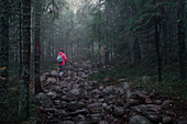 Frau wandert durch Wald des Skuleskogen Nationalpark im Osten von Schweden