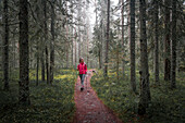 Frau wandert durch Wald im Skuleskogen Nationalpark im Osten von Schweden