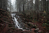 Waterfall in the forest in Skuleskogen National Park in the east of Sweden