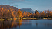 Landschaft mit Berg, See und Bäumen im Herbst im Stora Sjöfallet Nationalpark in Lappland in Schweden\n