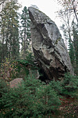 Großer stehender Felsbrocken im Wald im Tiveden Nationalpark in Schweden\n